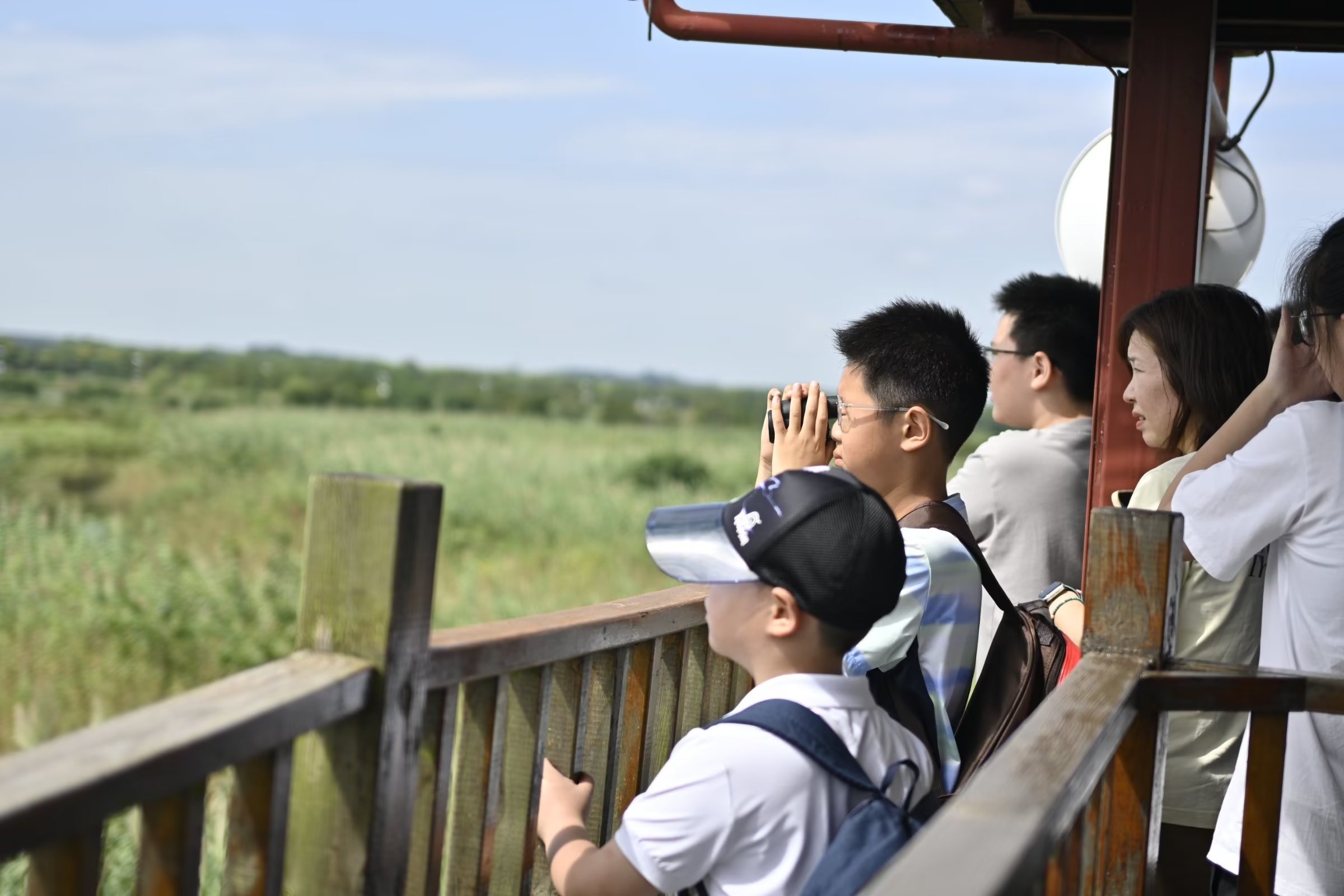 探寻湿地奥秘，感受生态之美