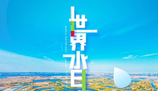 水质环境向好，多种鸟类频来