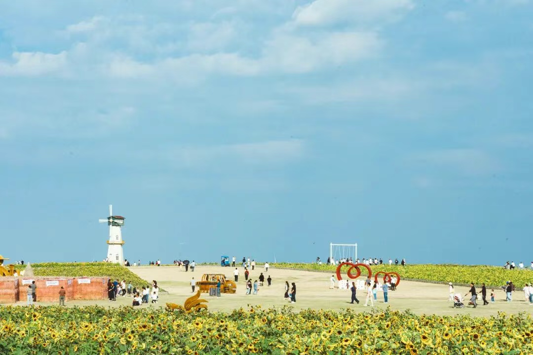 终于定了！2025淮安首家粉黛花海动物园，10月24日起门票免费送