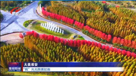 白马湖枫光无限好时光