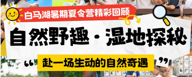 夏日限定｜白马湖湿地夏令营精彩回顾